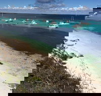 Experience Rottnest with Ferry  Bike Hire from Perth or Fremantle - Restaurants Sydney