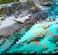 Rottnest Island Round-Trip Ferry from Perth or Fremantle - Restaurants Sydney