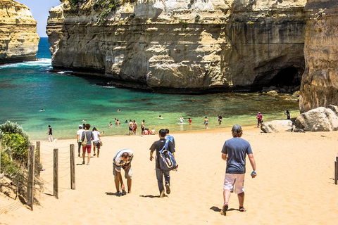 Small-Group Great Ocean Road Classic Day Tour From Melbourne - Restaurants Sydney 5
