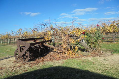 Swan Valley Tour From Perth: Wine, Beer And Chocolate Tastings - Restaurants Sydney 3