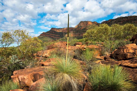 6-Day Eyre Peninsula & Flinders Ranges Adventure Tour - Restaurants Sydney 1