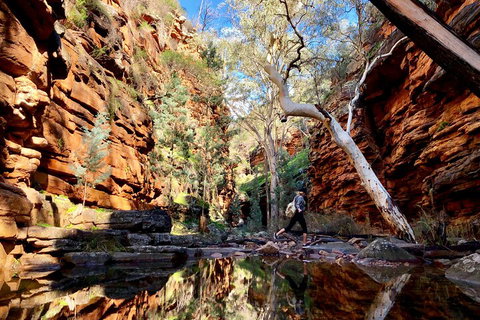 10-Day Adelaide To Perth Adventure Tour - Restaurants Sydney 5