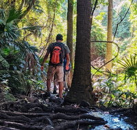 Hike to the Figure Eight Pools - Restaurants Sydney