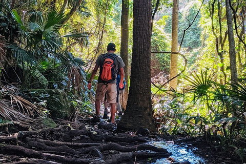 Hike To The Figure Eight Pools - Restaurants Sydney 0