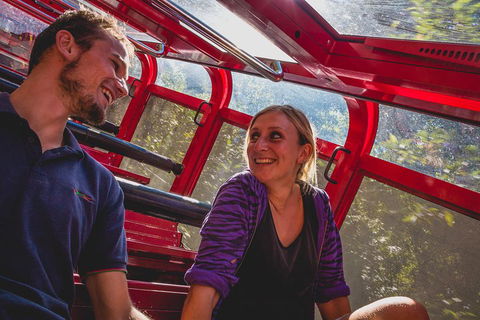 Blue Mountains Hop-on Hop-off Tour With Optional Scenic World Rides - Restaurants Sydney 5