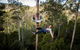 Hollybank Wilderness Adventure - Zipline Tours - thumb 0