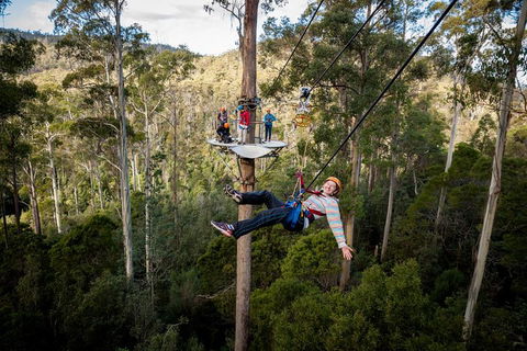 Hollybank Wilderness Adventure - Zipline Tours - Restaurants Sydney 0