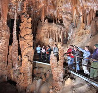 Blue Mountains Private Tour from Sydney with Jenolan Caves - Restaurants Sydney