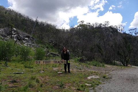 Blue Mountains Private Tour From Sydney With Jenolan Caves - Restaurants Sydney 3