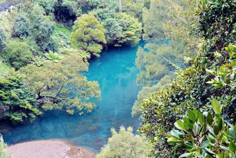 Blue Mountains Private Tour From Sydney With Jenolan Caves - Restaurants Sydney 4