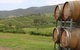 Hunter Valley Wine Tour From Sydney Incl Lunch, Cheese, Chocolate And Distillery - thumb 5