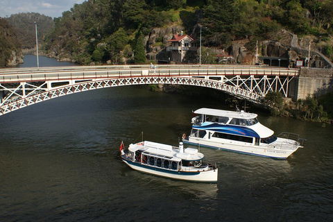2.5 Hour Morning Discovery Cruise Including Sailing Into The Cataract Gorge - Restaurants Sydney 5