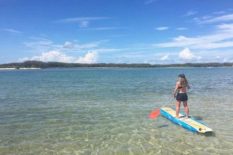 Golden Beach 1-Hour Stand-Up Paddleboard Hire On The Sunshine Coast - Restaurants Sydney 4