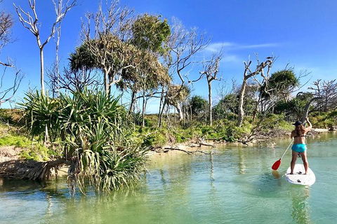 Golden Beach 1-Hour Stand-Up Paddleboard Hire On The Sunshine Coast - Restaurants Sydney 5