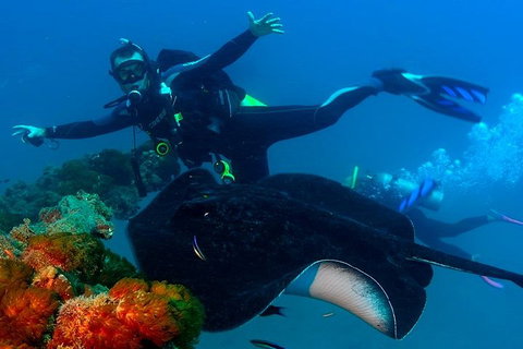 Scuba Dive The S.S. Yongala Wreck On The Great Barrier Reef. - Restaurants Sydney 0