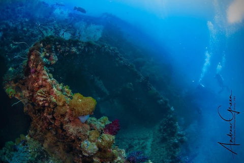 Scuba Dive The S.S. Yongala Wreck On The Great Barrier Reef. - Restaurants Sydney 3