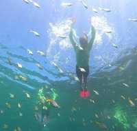 Manly Snorkel Trip and Nature Walk with Local Guide - Restaurants Sydney