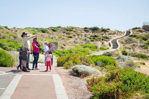 Margaret River Coastal And Wildlife Eco Trip From Busselton Or Dunsborough - Restaurants Sydney 0