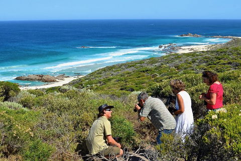Margaret River Coastal And Wildlife Eco Trip From Busselton Or Dunsborough - Restaurants Sydney 2